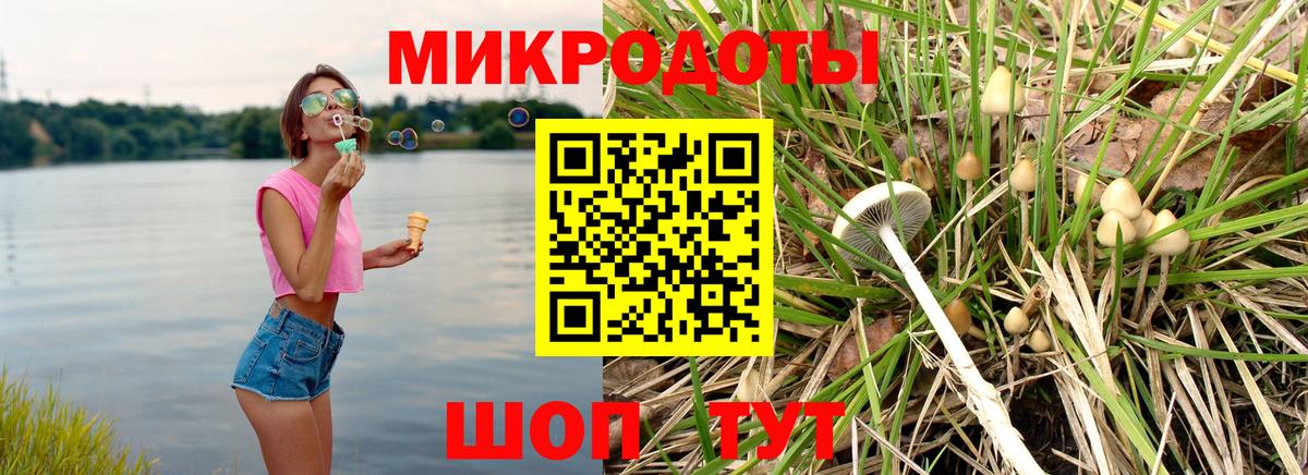Псилоцибиновые грибы MAGIC MUSHROOMS Заводоуковск